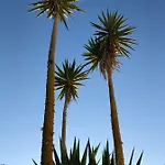 فيلة Casa Tazmin Santo Isidoro