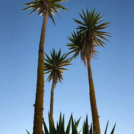 Villa Casa Tazmin Santo Isidoro